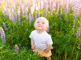 The vitamin guide for toddlers & preschoolers