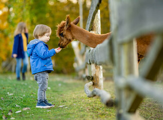 The transition from toddler to preschooler: what to expect?