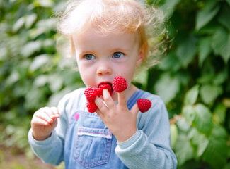 Hoeveel Vitamines en Mineralen heeft mijn peuter (1-3 jaar) nodig?