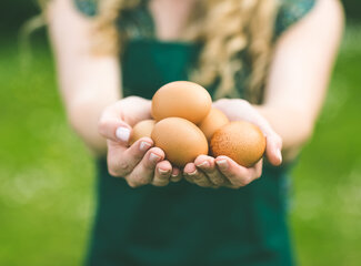 Facts and fables about eggs: here's what you need to know!