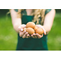 Feiten en Fabels over eieren: Dit moet je weten!