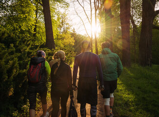 New insights: is 10,000 steps still the ideal goal for health?