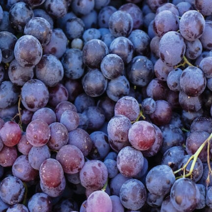 Superfoods | A powerful boost for your health