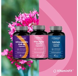 VitaminFit Menopauze Support Pakket