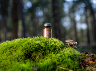 The power of mushrooms: Reishi, Shiitake & Maitake for your health