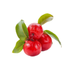 Bladder, prostate and libido