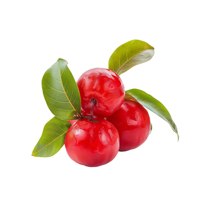 Bladder, prostate and libido | Essential support for your prostate, bladder and libido