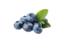 Multivitamines