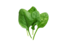 Mineralien 