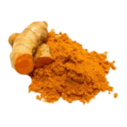 Bones, joints and muscles