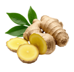 Digestion and stomach