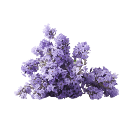 Relaxation and sleep