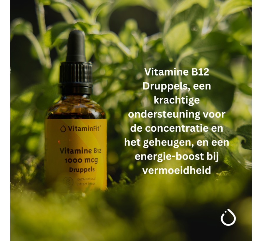 Vitamine B12 1000 mcg Vloeibaar