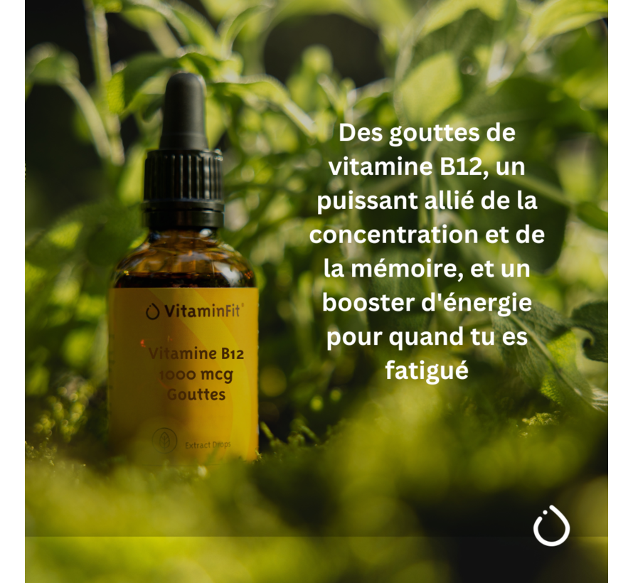 Vitamine B12 1000 mcg Gouttes