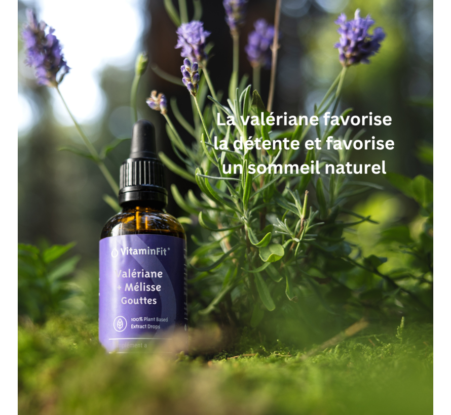 Valerian & Lemon Balm Drops