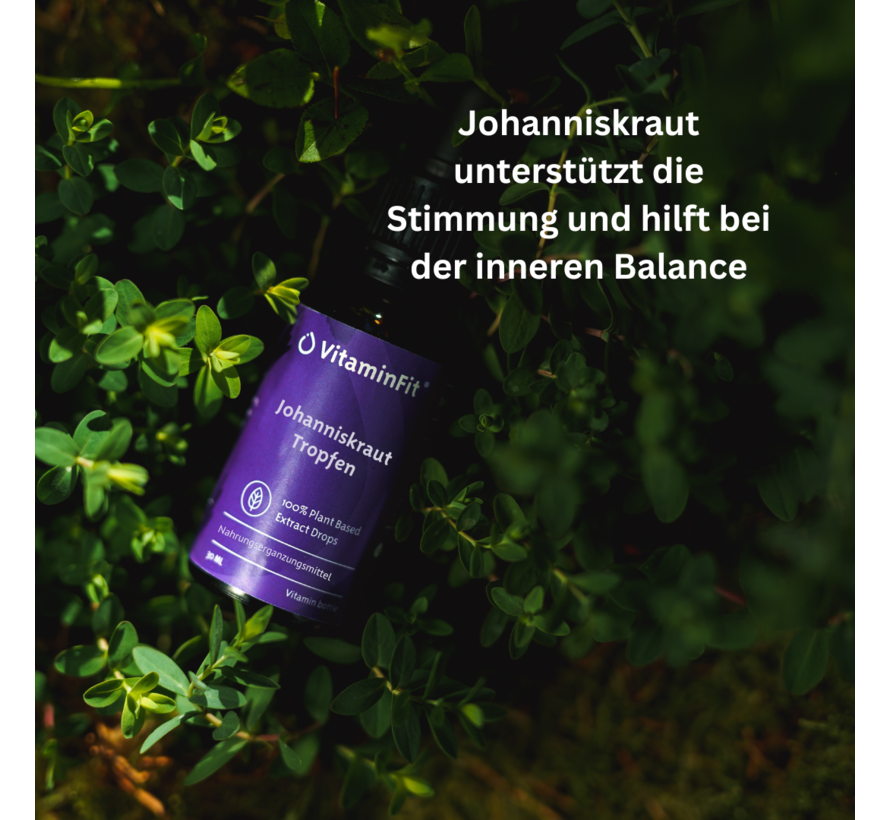 Johanniskraut Tropfen