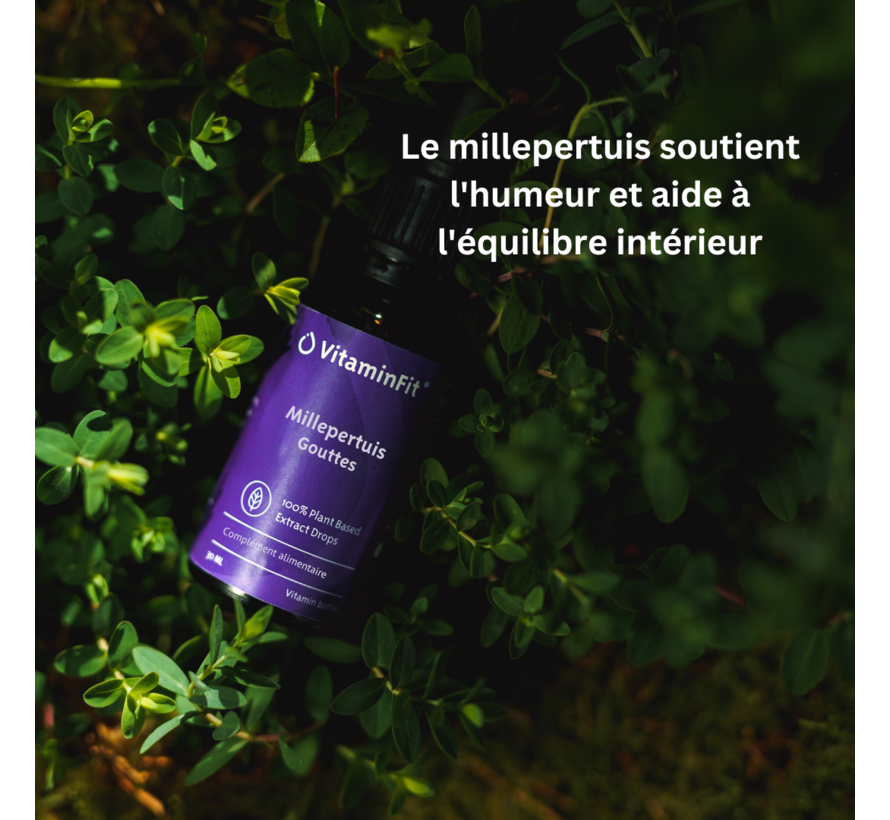 St. John's Wort Drops