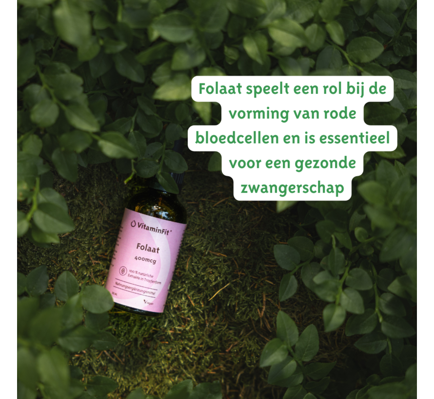 Folaat 400 mcg (5-MTHF) Druppels