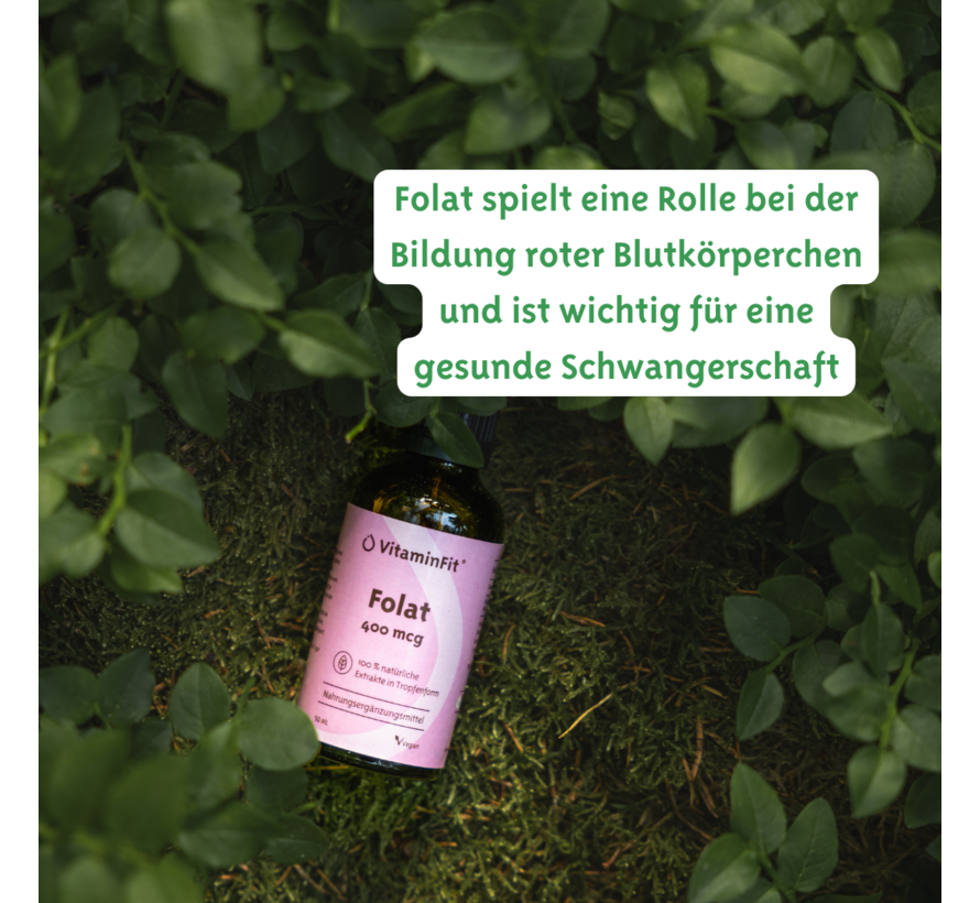 Folat 400 mcg (5 MTHF) Tropfen