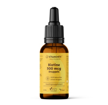Biotine 500 mcg Druppels