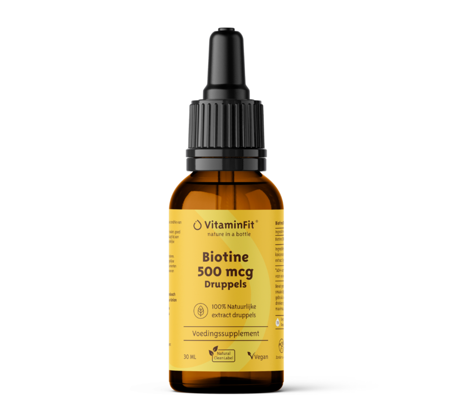 Biotine 500 mcg Druppels