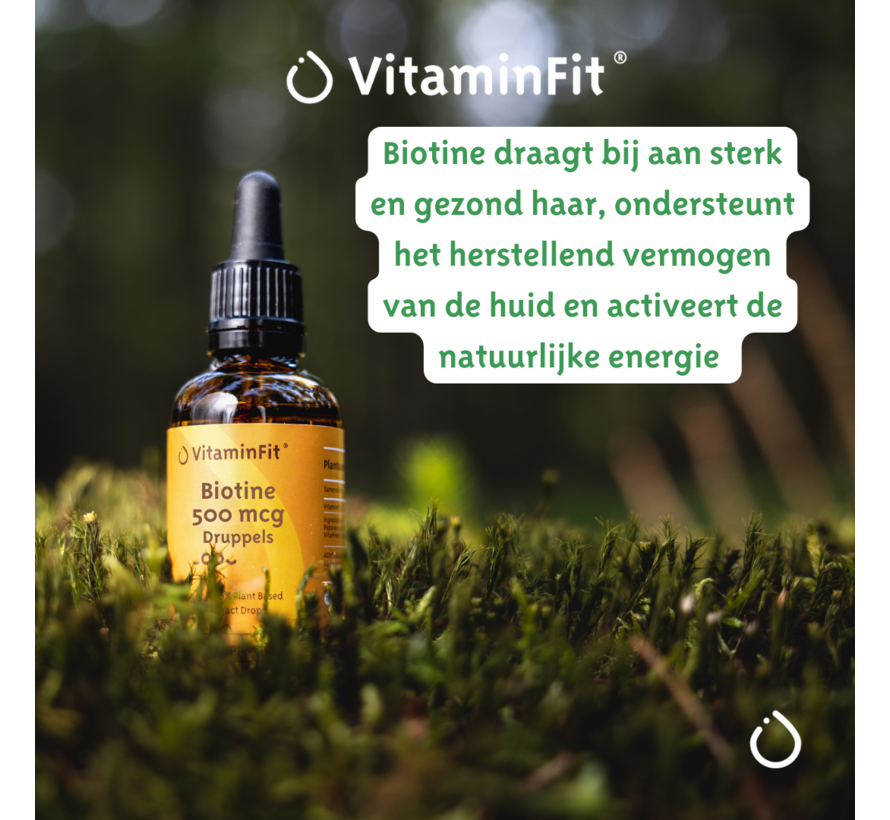 Biotine 500 mcg Druppels