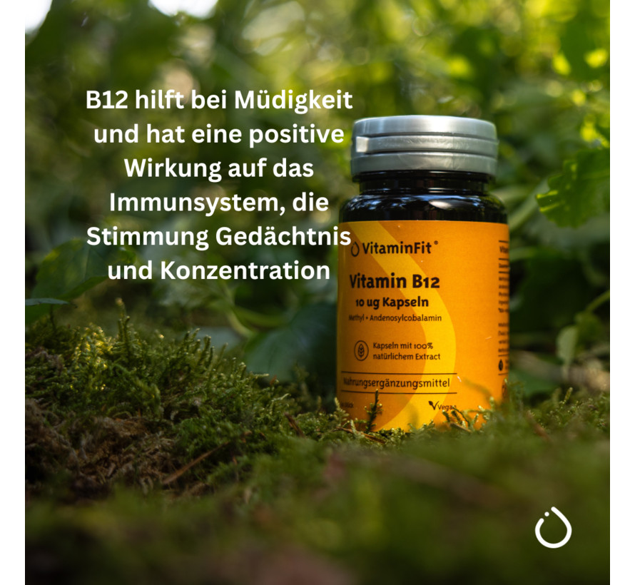Vitamin B12 1000 mcg Kapseln