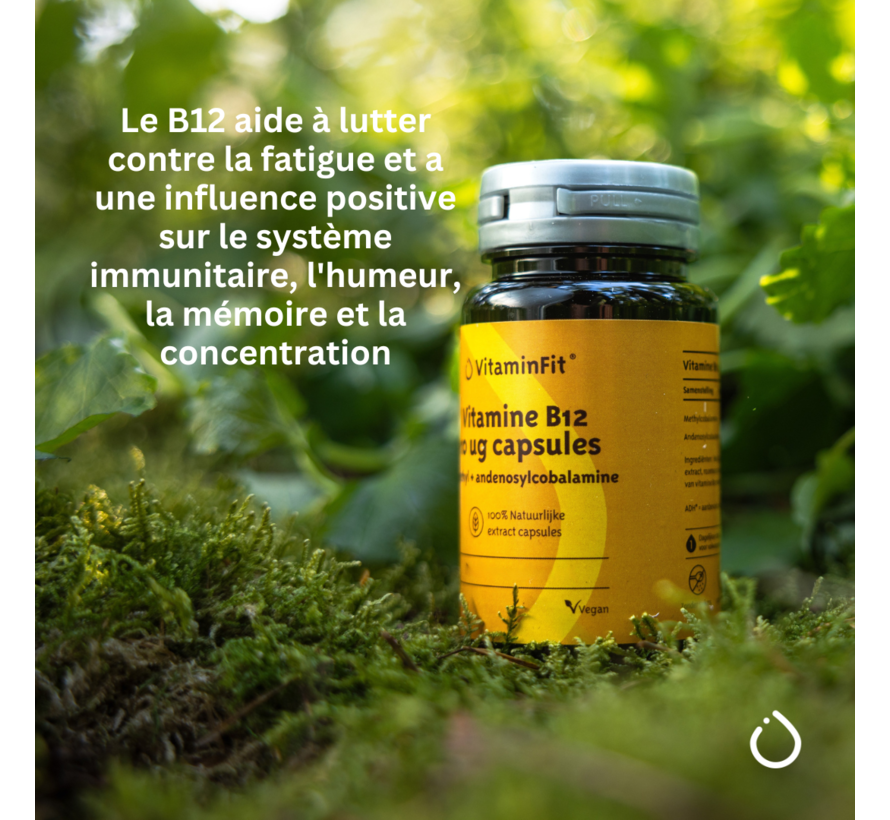 Vitamine B12 1000 mcg Capsules