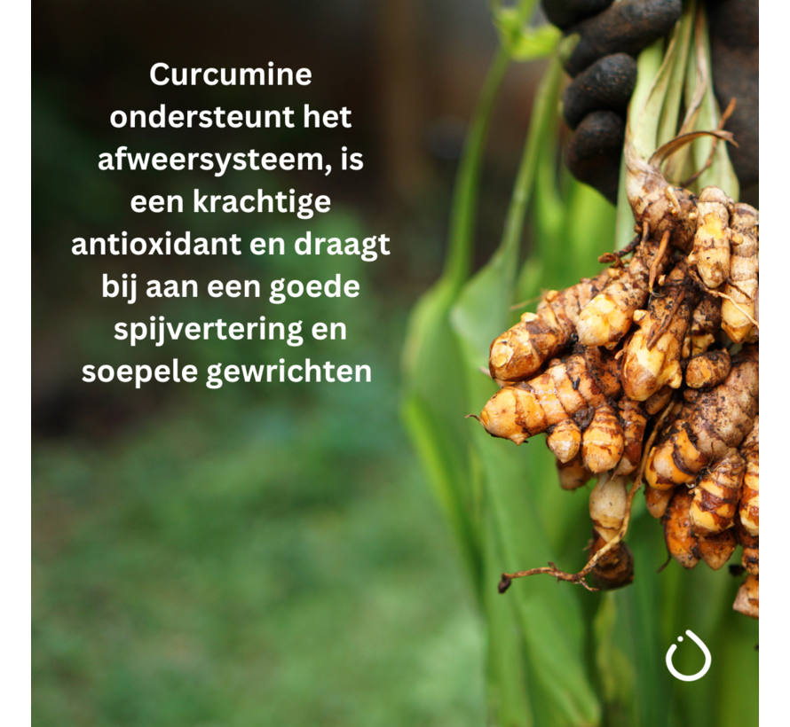 Curcuma C3 Complex