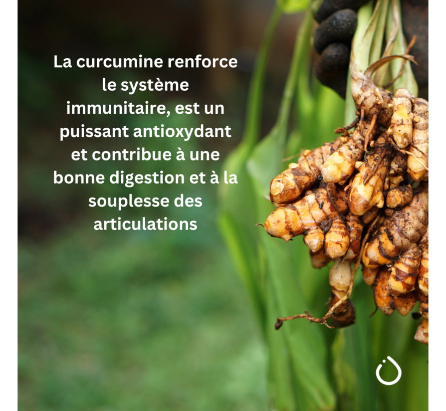 Curcuma C3 Complexe