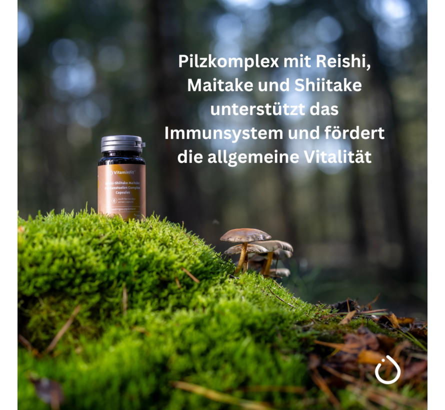 Reishi, Shiitake + Maitake Pilz Komplex