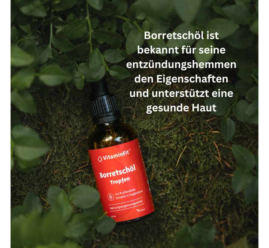 Borretschöl Tropfen
