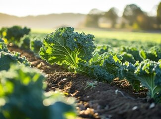 Où trouve-t-on du calcium? Pas seulement dans les produits laitiers!