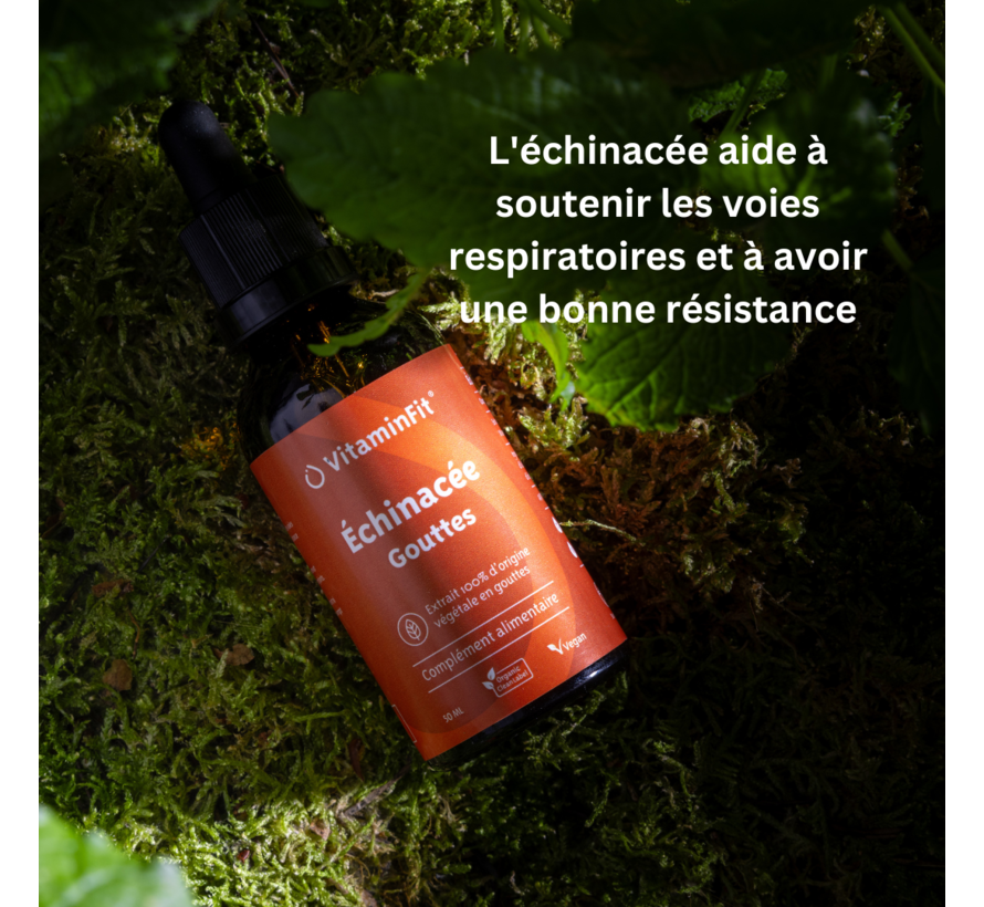 Gouttes d'Échinacée
