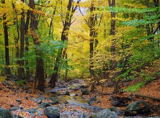 Unexpected ways to support your resistance that you don't know yet