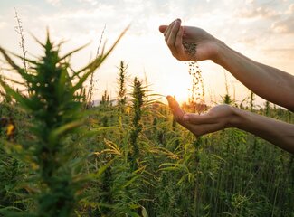 Utilisez-vous les 8 sources végétales d'oméga 3-6-9 ?