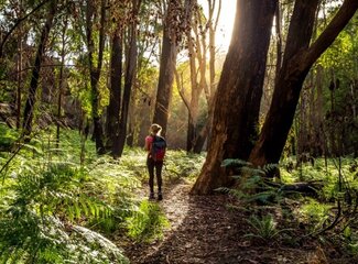 Did you know that the best thing you can do is actively relax?