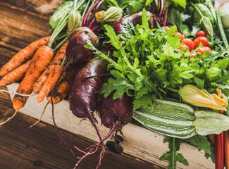 The benefits of a plant-based diet on resistance