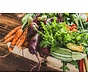 Die Vorteile einer pflanzlichen Ernährung für die Resistenz