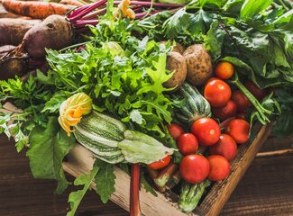 Plant-based diet: these are the reasons!