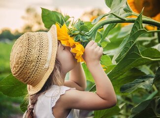 Feiten en fabels over vitamines en mineralen voor kinderen