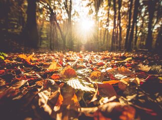 What does the R in the month have to do with your resistance?