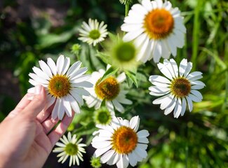 What is your skin trying to tell you? How to recognise deficiencies in your skin