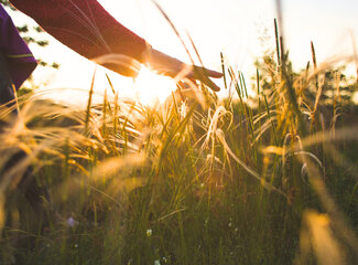 Taking vitamin D: this is the best time for optimal absorption