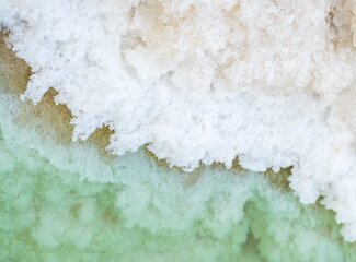 Creatine + Magnesium: Kracht en spierherstel op een natuurlijke manier