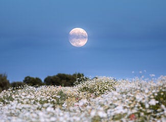 Le rôle des acides gras oméga-3 dans le sommeil