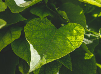 De kracht van routine: waarom gewoontes je gezondheid versterken