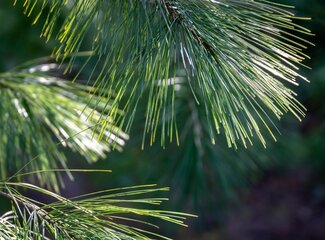 Finding rest and relaxation in the December month