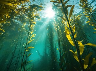 Boost je gezondheid: Ontdek de kracht van Omega-3 + Vitamines A, D3, E en K2