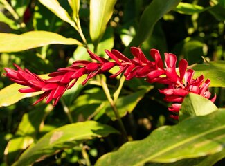Von innen warm bleiben: Essen, das deinen Körper wärmt
